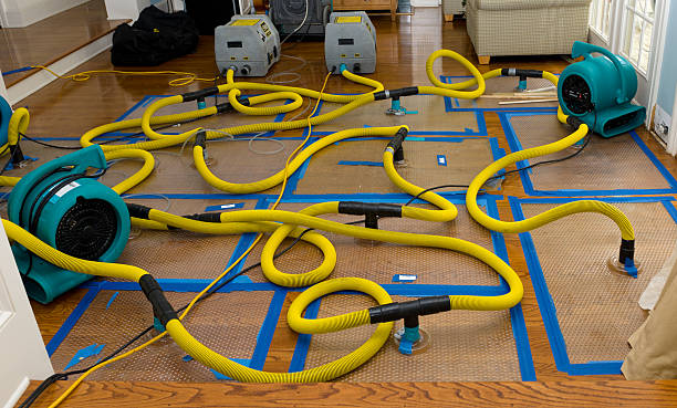 Professional Structural Drying And Dehumidification technician working in Ravenna, OH